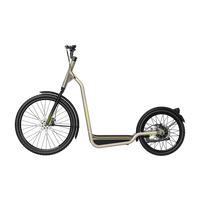 Bicinete Urban