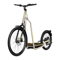 Bicinete Urban